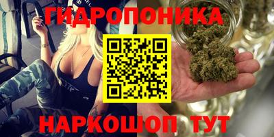 дживик Тара