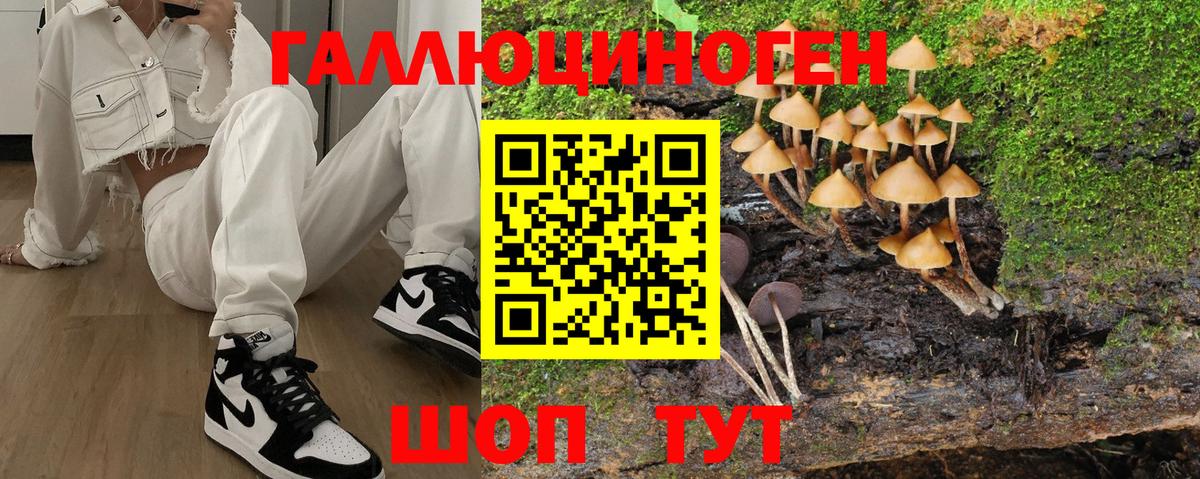Псилоцибиновые грибы мухоморы Полысаево