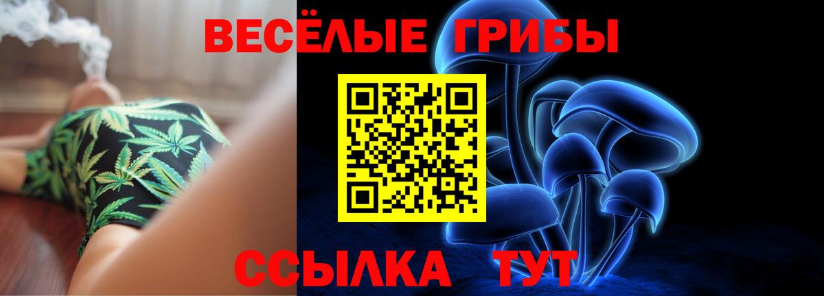 Псилоцибиновые грибы GOLDEN TEACHER  Вход с VPN  Полысаево 