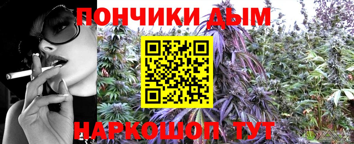 Бошки Шишки планчик Полысаево
